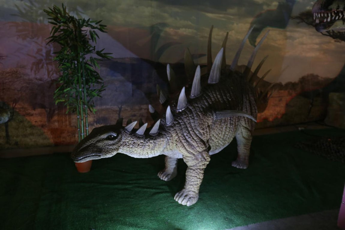 Fotos: Así es Expo Jurásico, la mayor muestra de dinosaurios animatrónicos