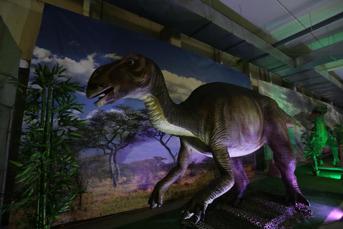 Fotos: Así es Expo Jurásico, la mayor muestra de dinosaurios animatrónicos