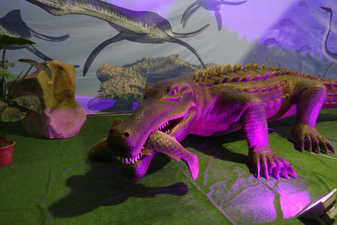 Fotos: Así es Expo Jurásico, la mayor muestra de dinosaurios animatrónicos
