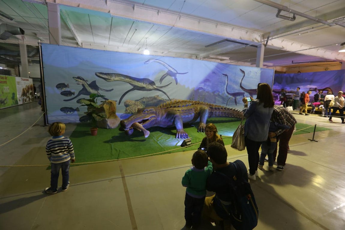Fotos: Así es Expo Jurásico, la mayor muestra de dinosaurios animatrónicos