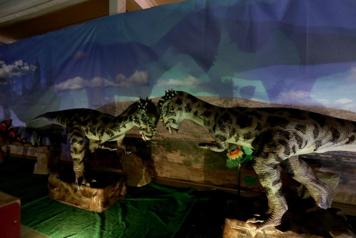 Fotos: Así es Expo Jurásico, la mayor muestra de dinosaurios animatrónicos