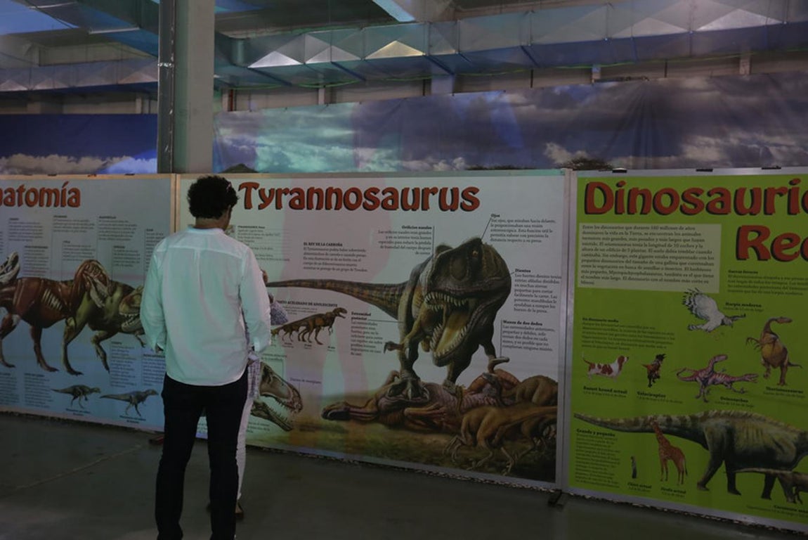 Fotos: Así es Expo Jurásico, la mayor muestra de dinosaurios animatrónicos