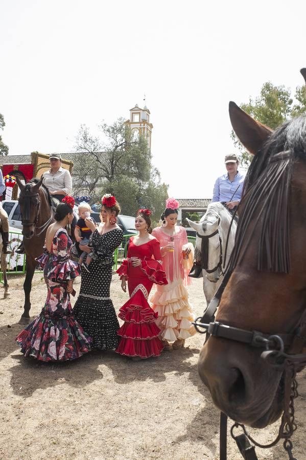 La romería de Santo Domingo, en imágenes