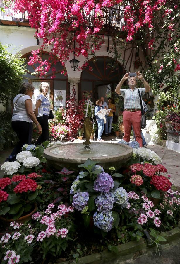 En imágenes, una ruta por los patios de Santiago y San Pedro