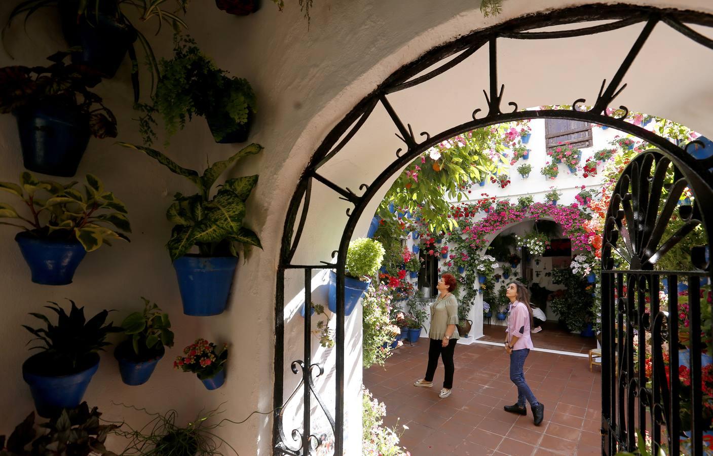 En imágenes, una ruta por los patios de Santiago y San Pedro