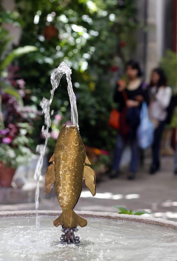 En imágenes, una ruta por los patios de Santiago y San Pedro