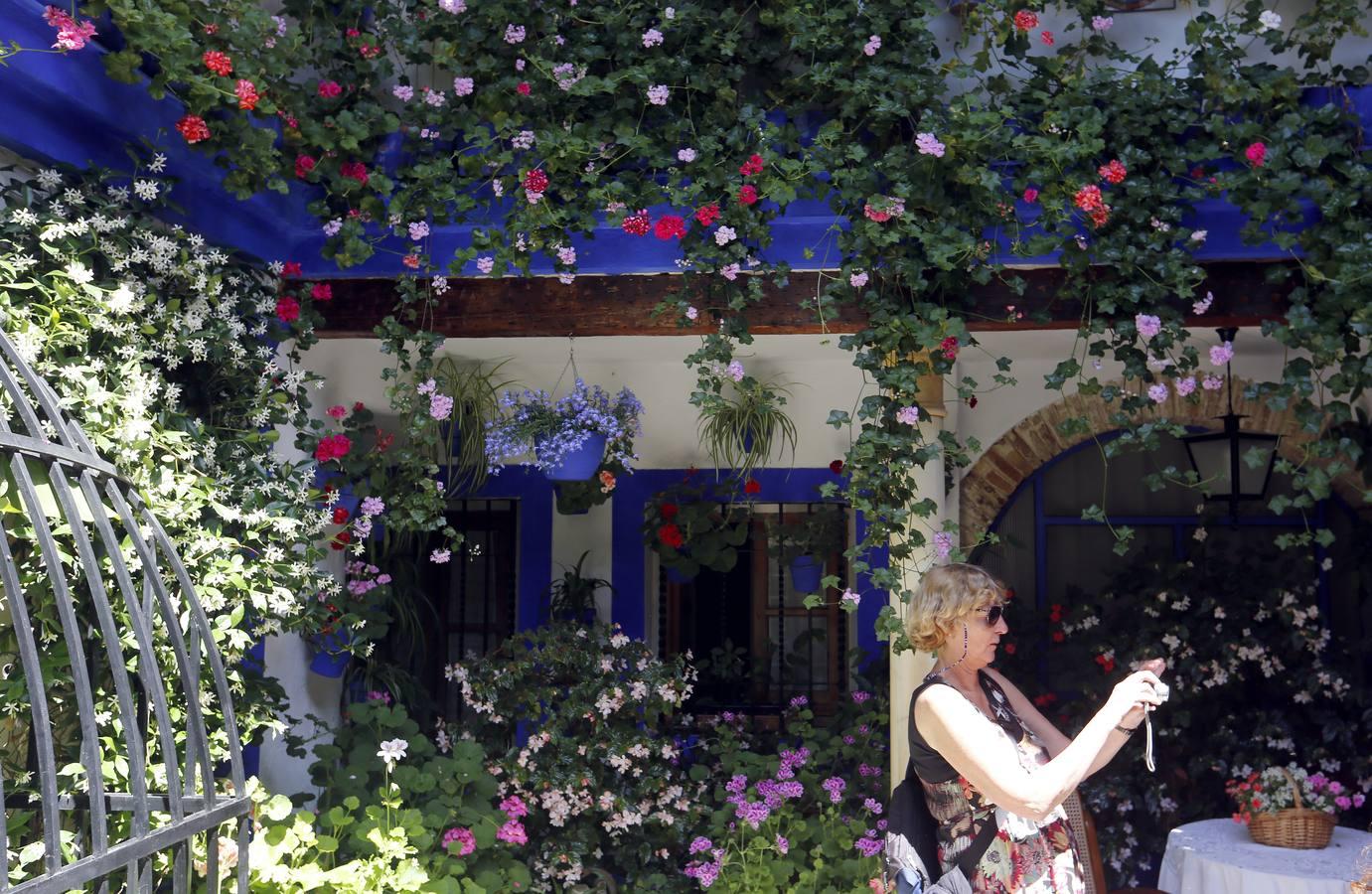 En imágenes, una ruta por los patios de Santiago y San Pedro