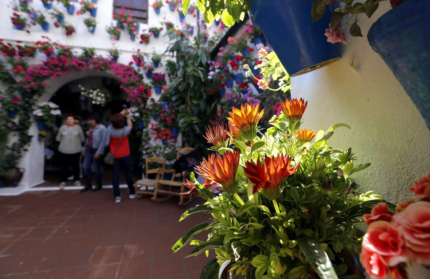 En imágenes, una ruta por los patios de Santiago y San Pedro