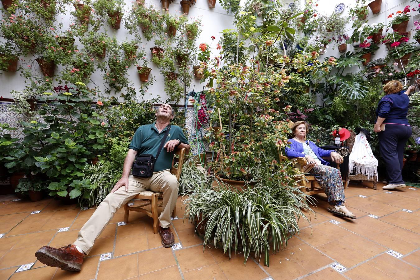 En imágenes, los patios de San Lorenzo en Córdoba