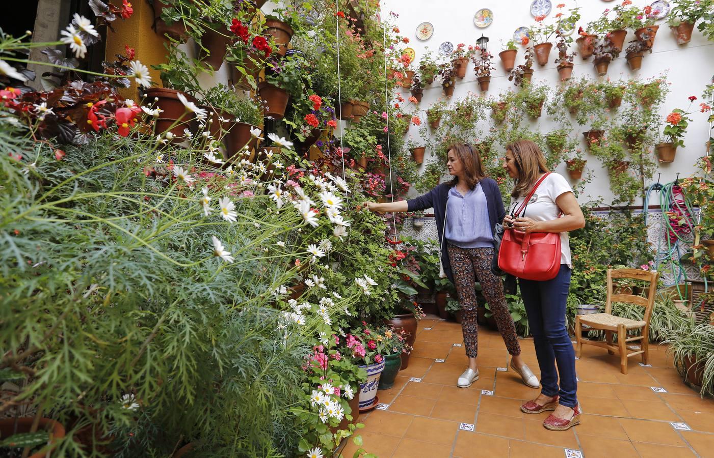 En imágenes, los patios de San Lorenzo en Córdoba