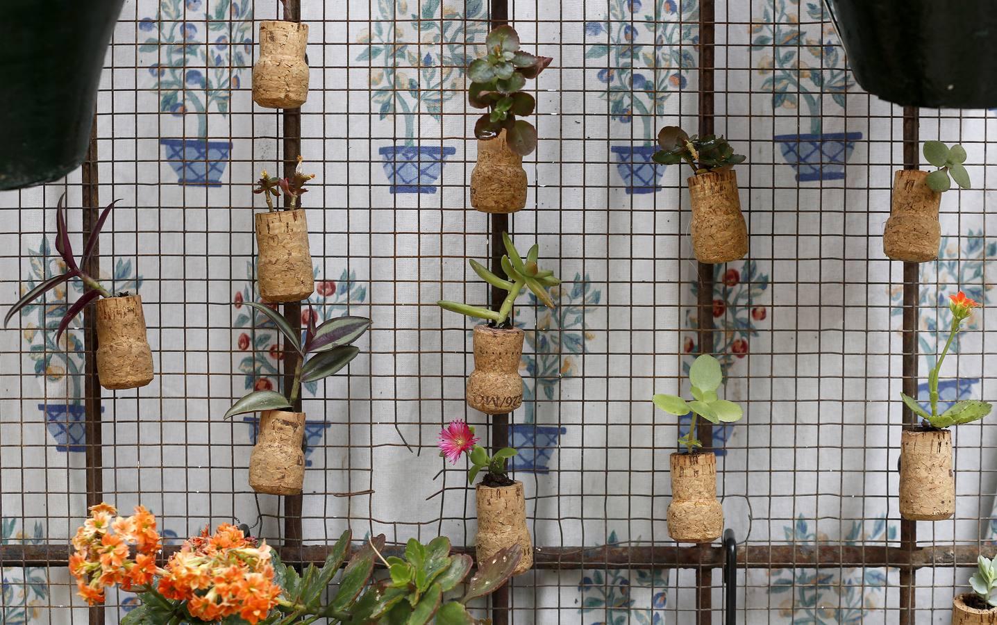 En imágenes, los patios de San Lorenzo en Córdoba