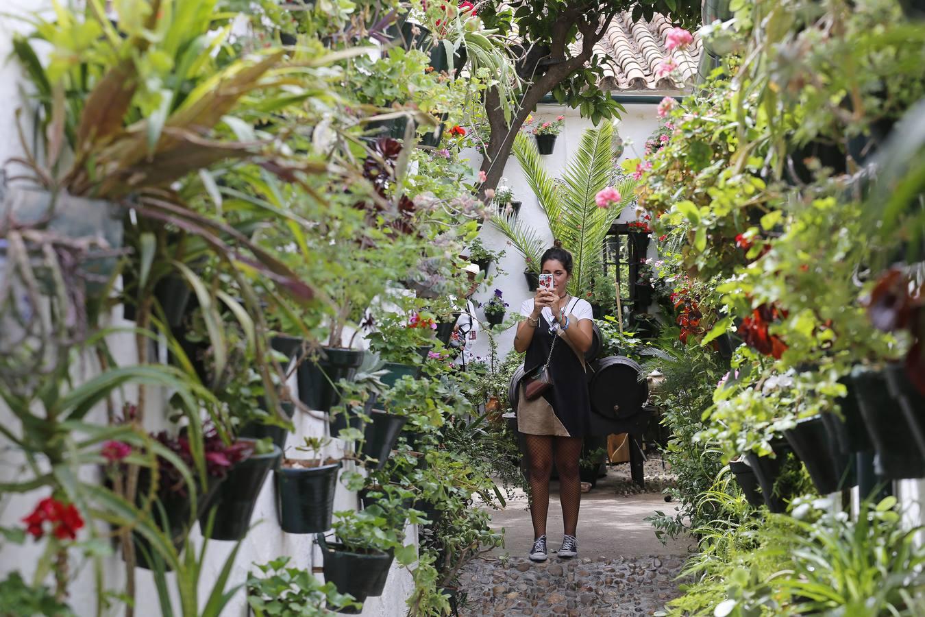 En imágenes, los patios de San Lorenzo en Córdoba