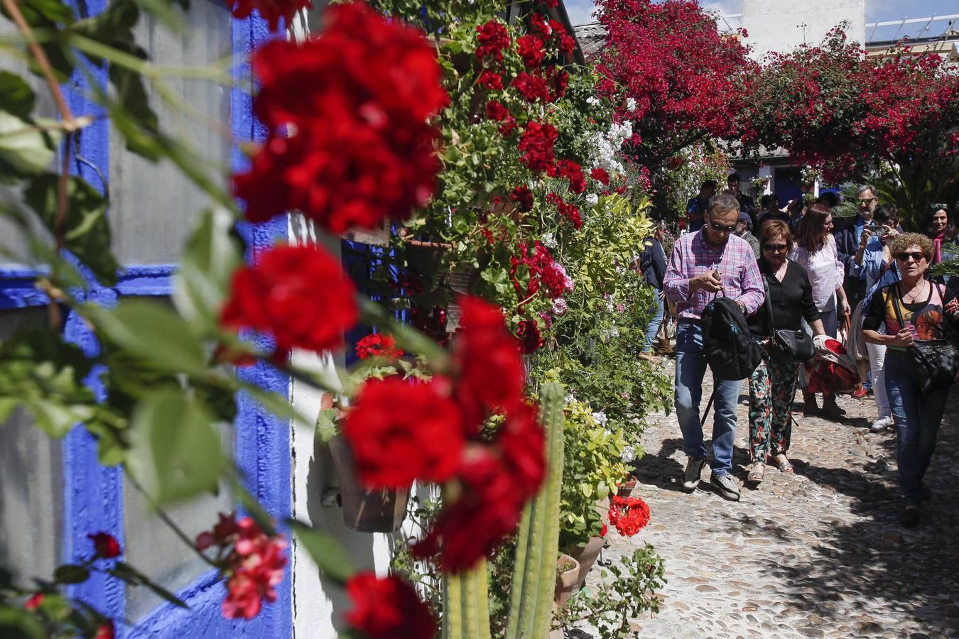 Un sábado de colas en los Patios de Córdoba de 2017