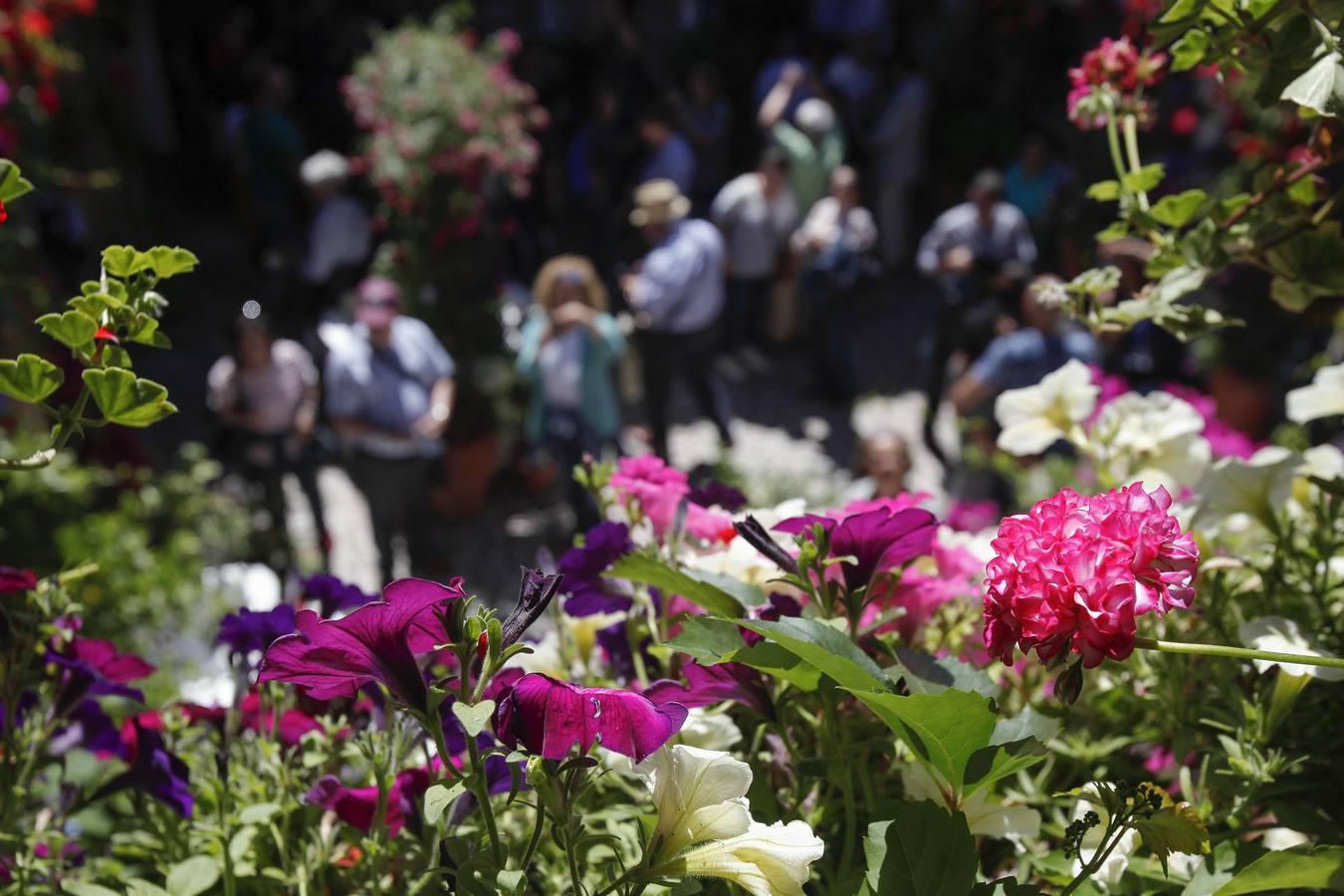 Un sábado de colas en los Patios de Córdoba de 2017