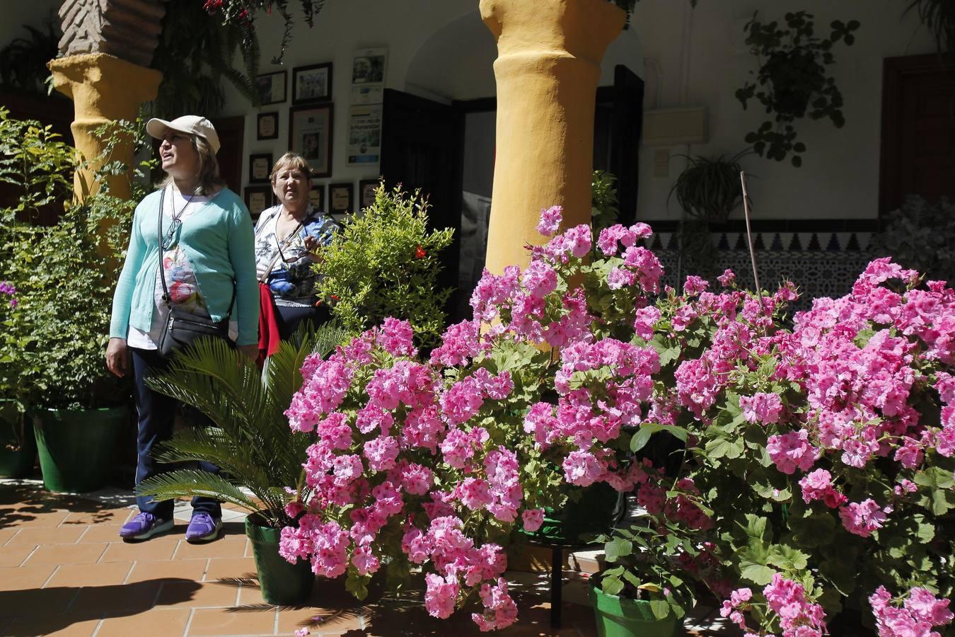 Un sábado de colas en los Patios de Córdoba de 2017