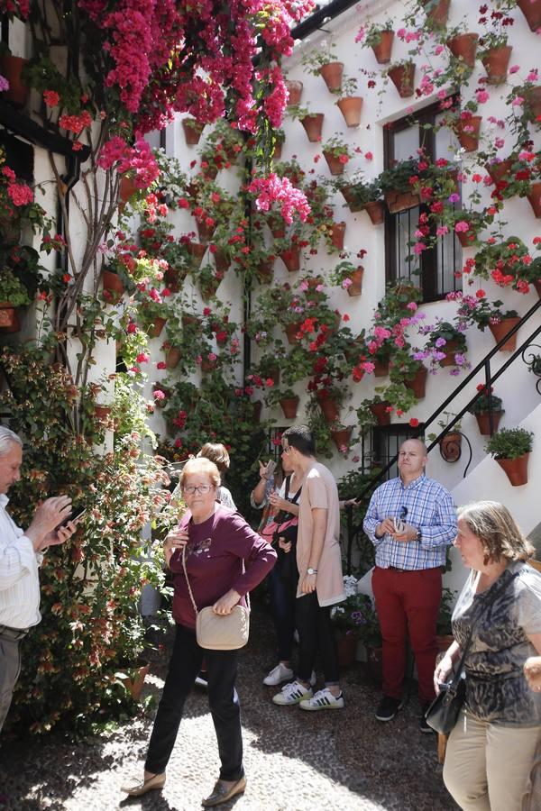 Un sábado de colas en los Patios de Córdoba de 2017