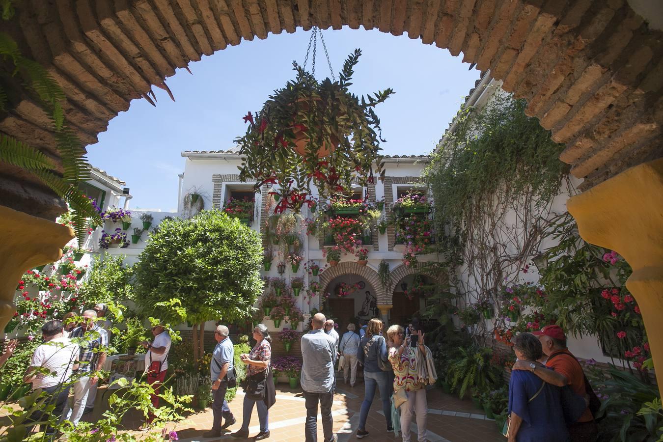 Un domingo de sol y colas en los Patios de Córdoba de 2017