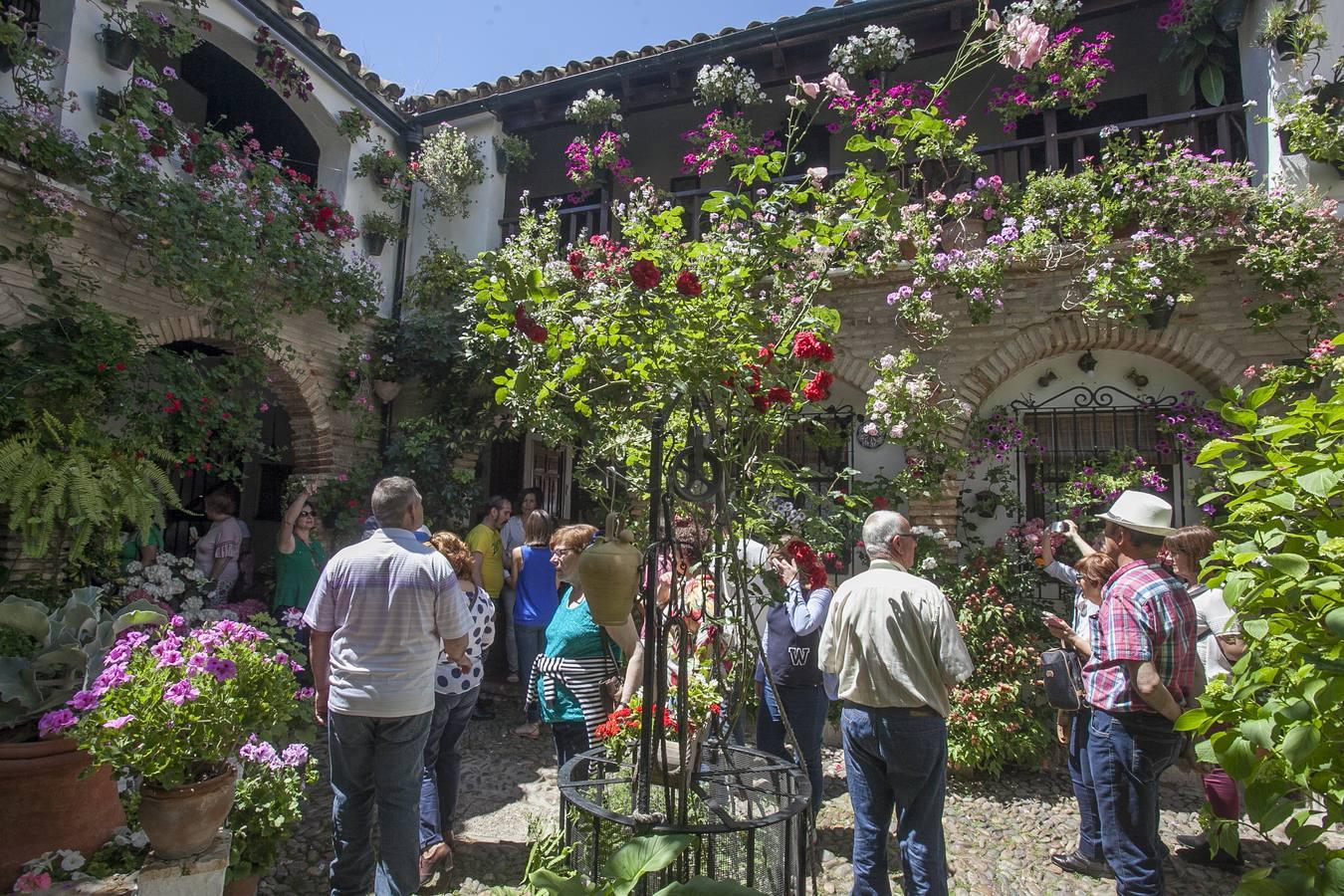 Un domingo de sol y colas en los Patios de Córdoba de 2017