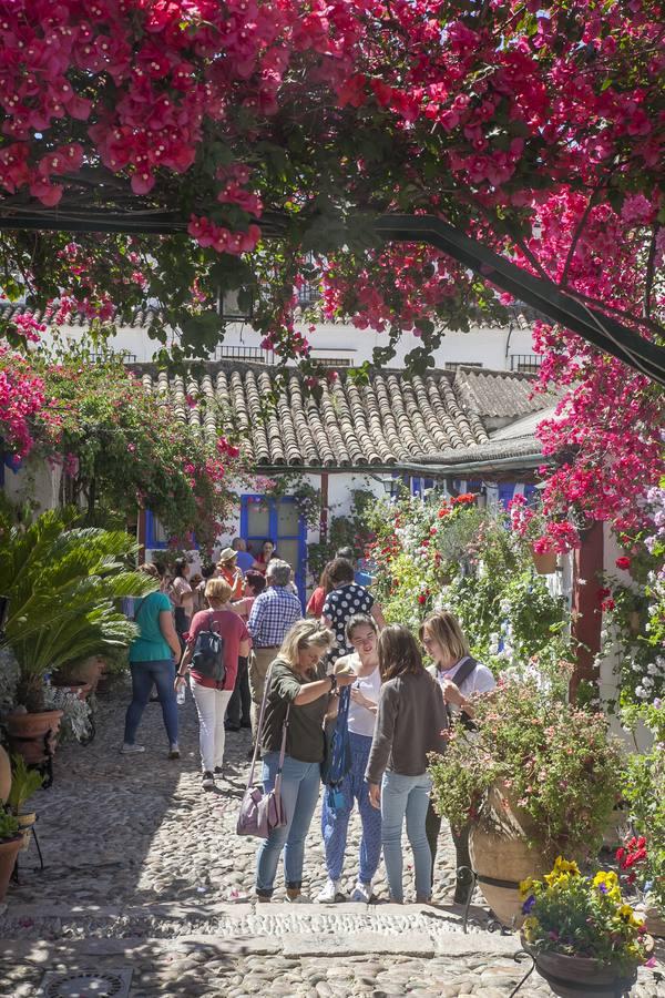 Un domingo de sol y colas en los Patios de Córdoba de 2017