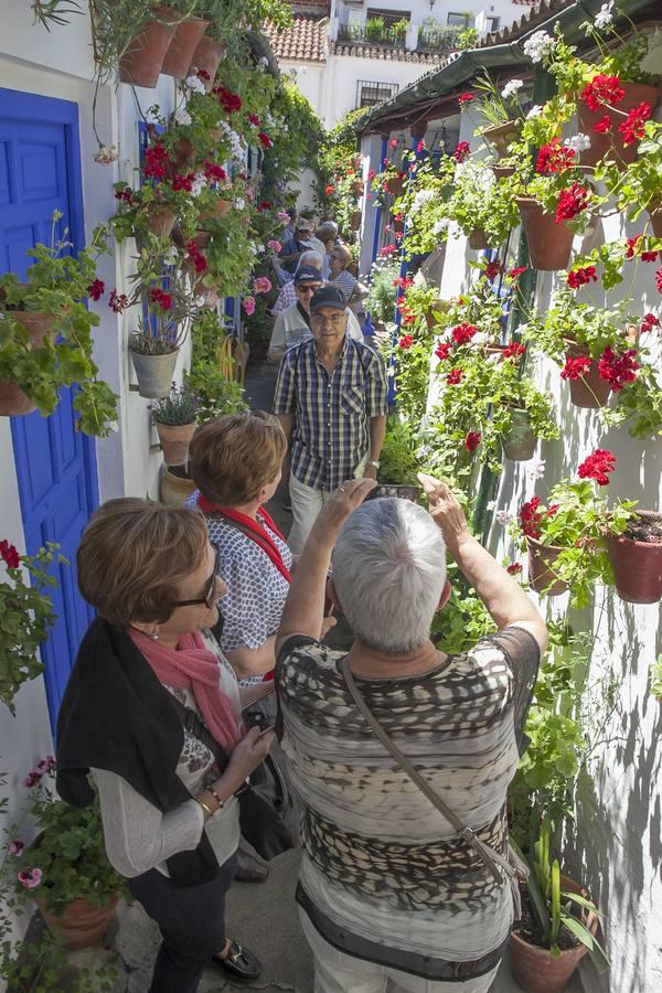 Un domingo de sol y colas en los Patios de Córdoba de 2017