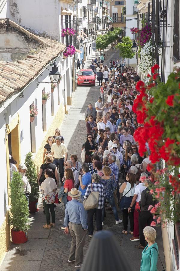 Un domingo de sol y colas en los Patios de Córdoba de 2017
