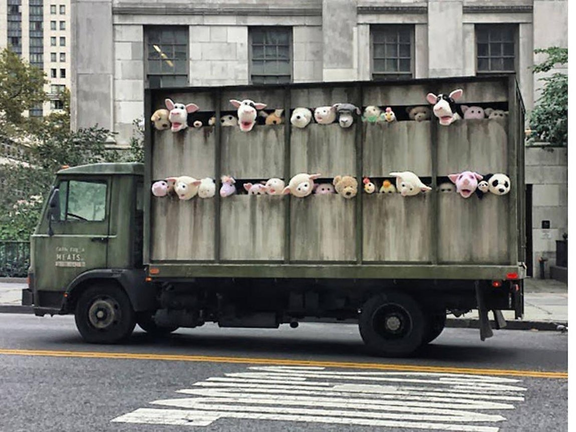 Explotación ganadera. Un camión lleno de peluches camino del matadero apareció en Nueva York para critica la forma en la que mueren los animales para el consumo humano.