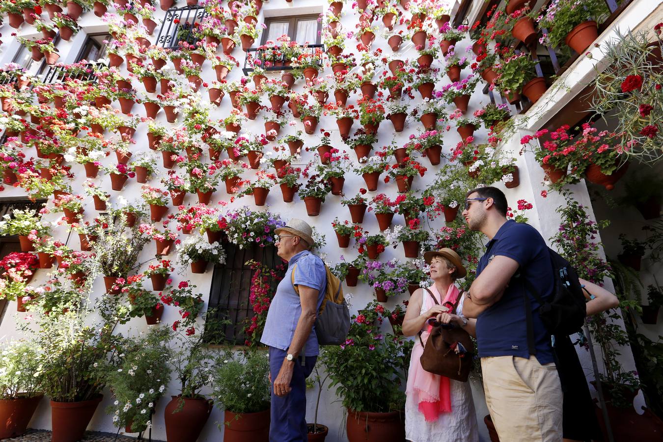 Patios ganadores del Concurso de Córdoba 2017, en imágenes