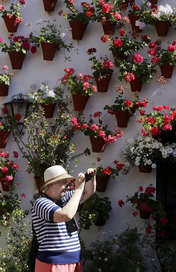 Patios ganadores del Concurso de Córdoba 2017, en imágenes