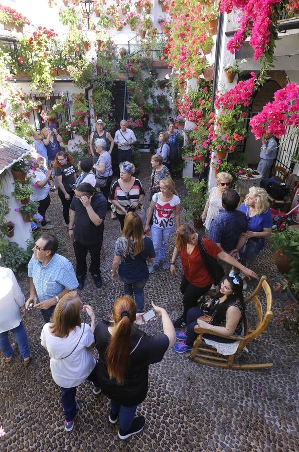 Patios ganadores del Concurso de Córdoba 2017, en imágenes