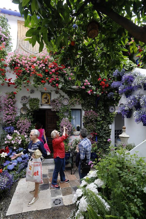 Patios ganadores del Concurso de Córdoba 2017, en imágenes