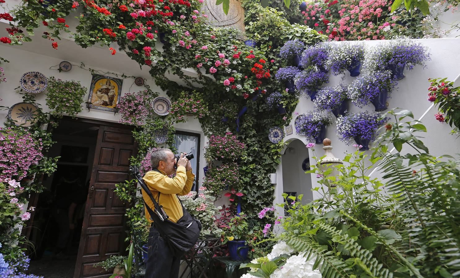 Patios ganadores del Concurso de Córdoba 2017, en imágenes