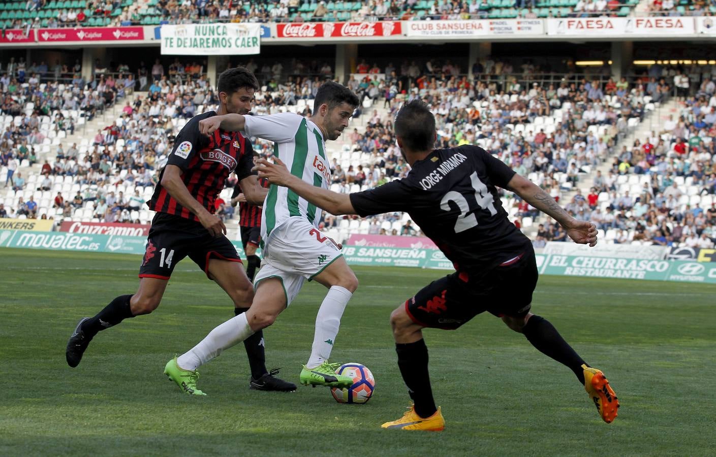 La victoria del Córdoba ante el Reus, en imágenes