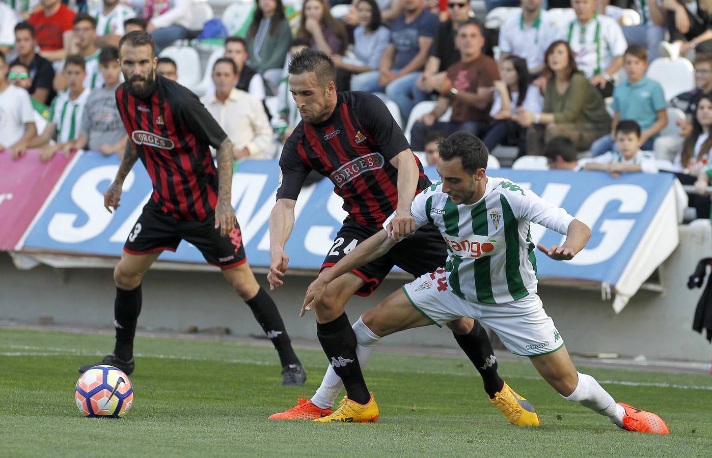 La victoria del Córdoba ante el Reus, en imágenes