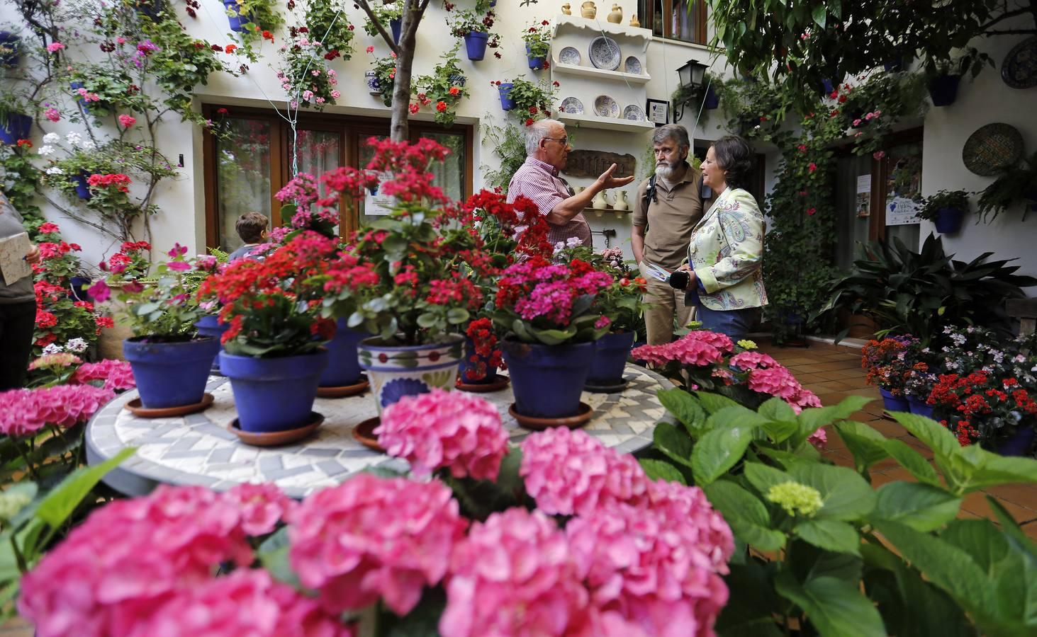 Los «Patios Singulares» de Córdoba 2017, en imágenes