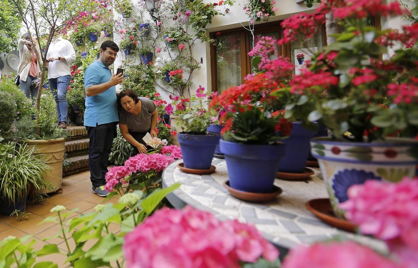 Los «Patios Singulares» de Córdoba 2017, en imágenes