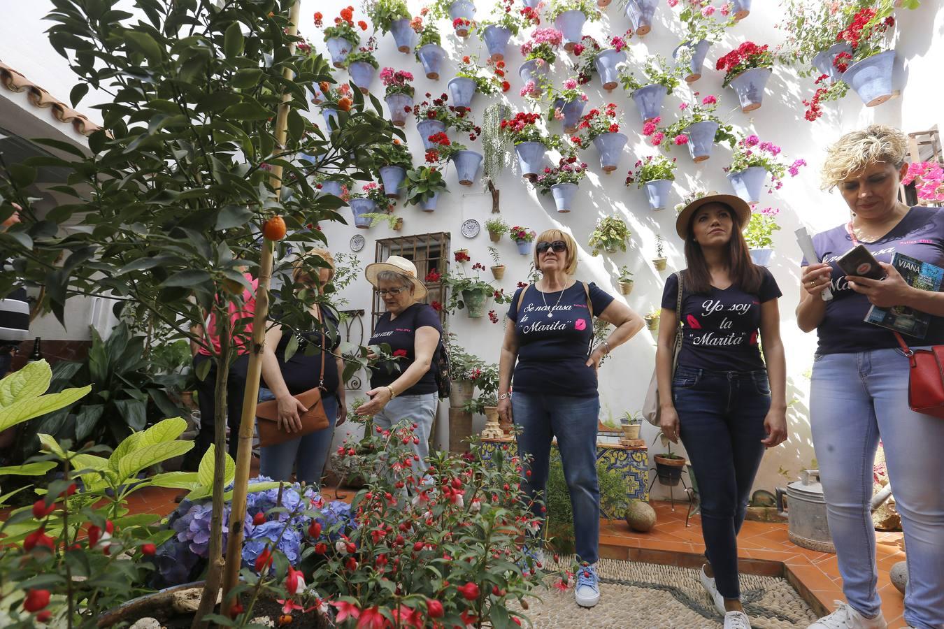 Los «Patios Singulares» de Córdoba 2017, en imágenes