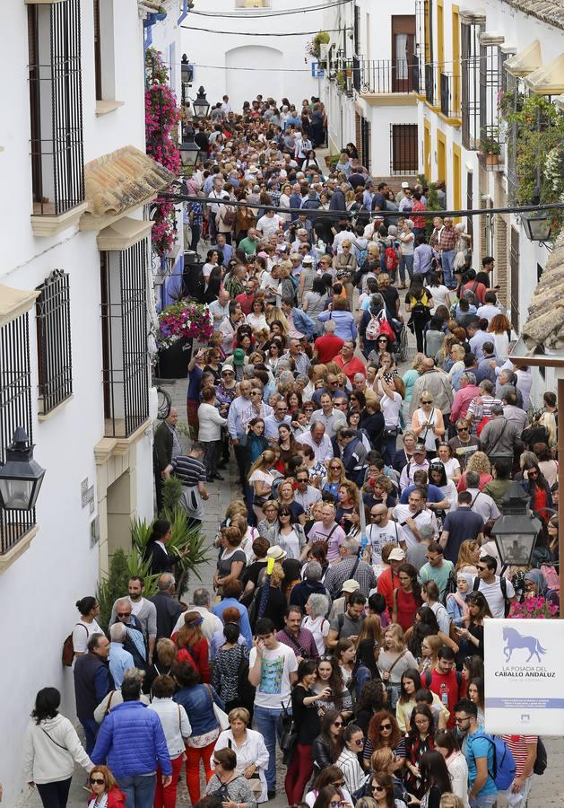 El segundo sábado de Patios, en imágenes