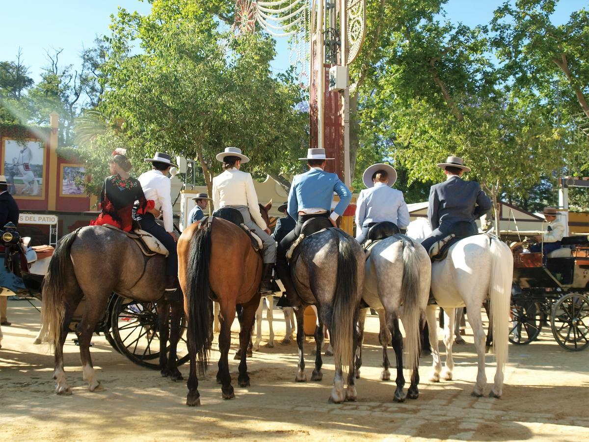 Bonita estampa de unos caballos jerezanos de espalda