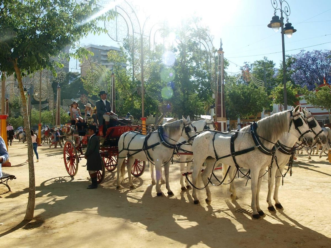 Coche de caballos paseando por la feria