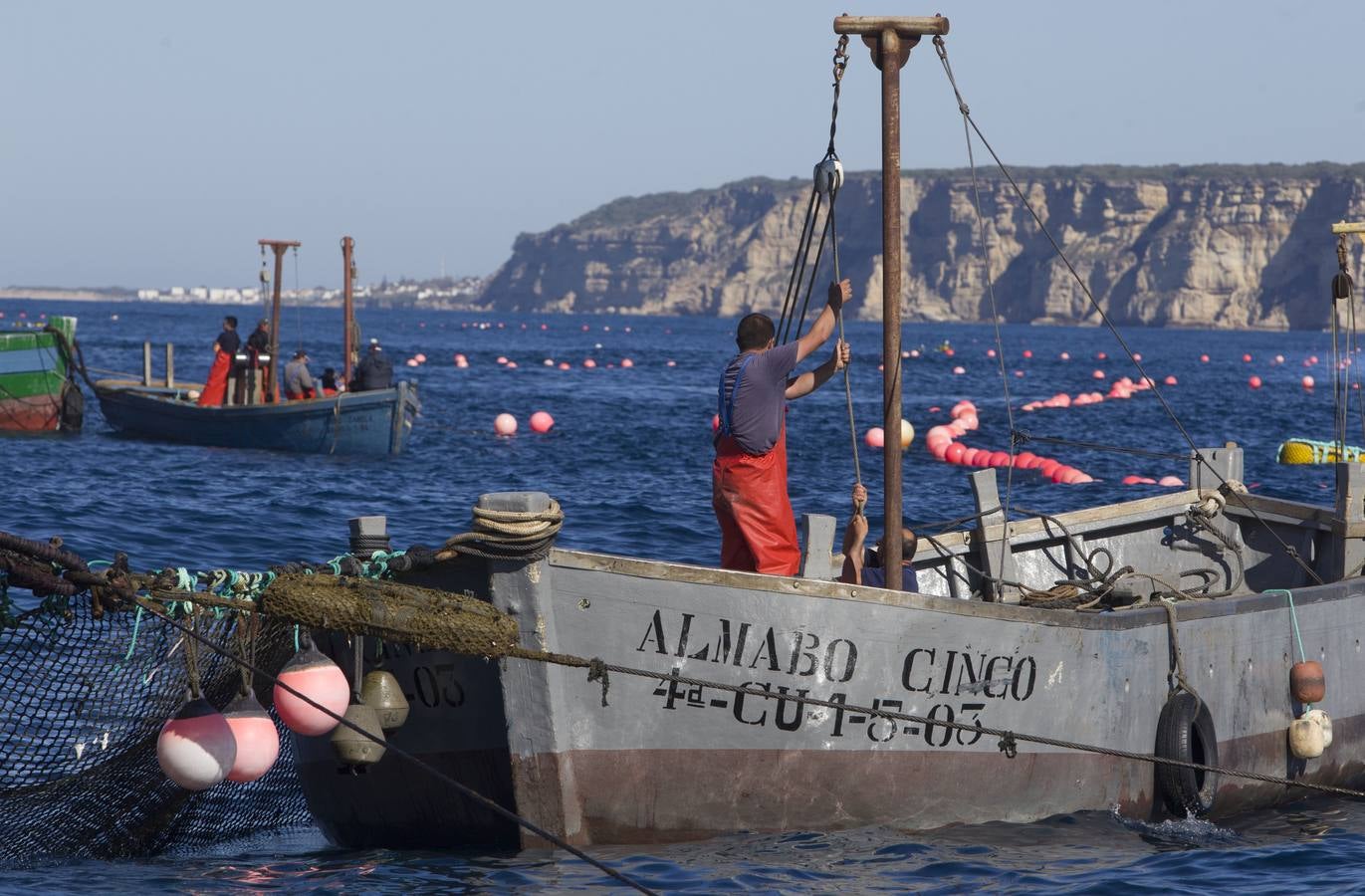 FOTOS: Espectacular levantá en la almadraba de Barbate