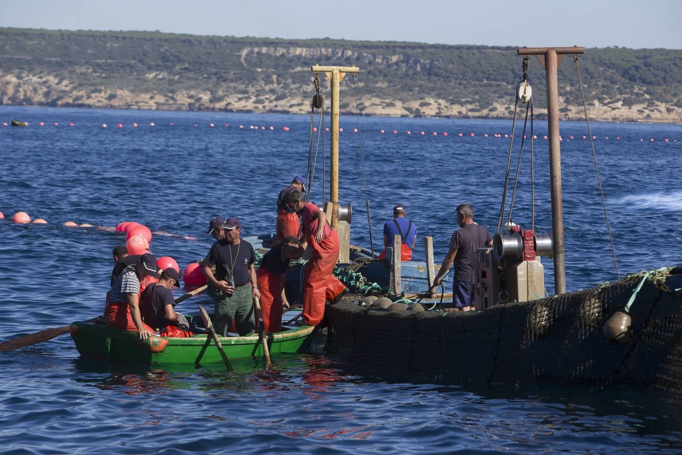 FOTOS: Espectacular levantá en la almadraba de Barbate