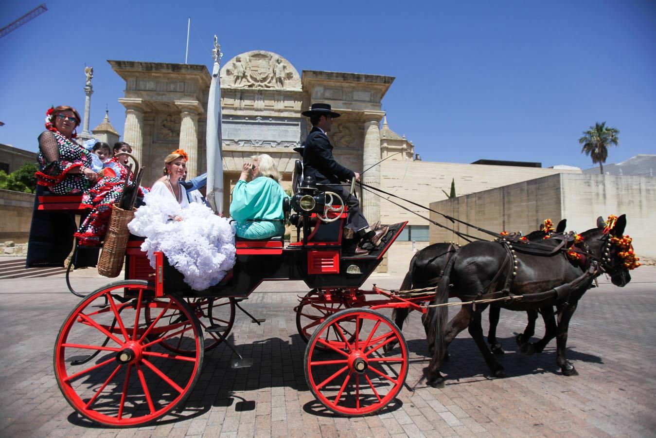 La Exhibición de Carruajes de Tradición, en imágenes