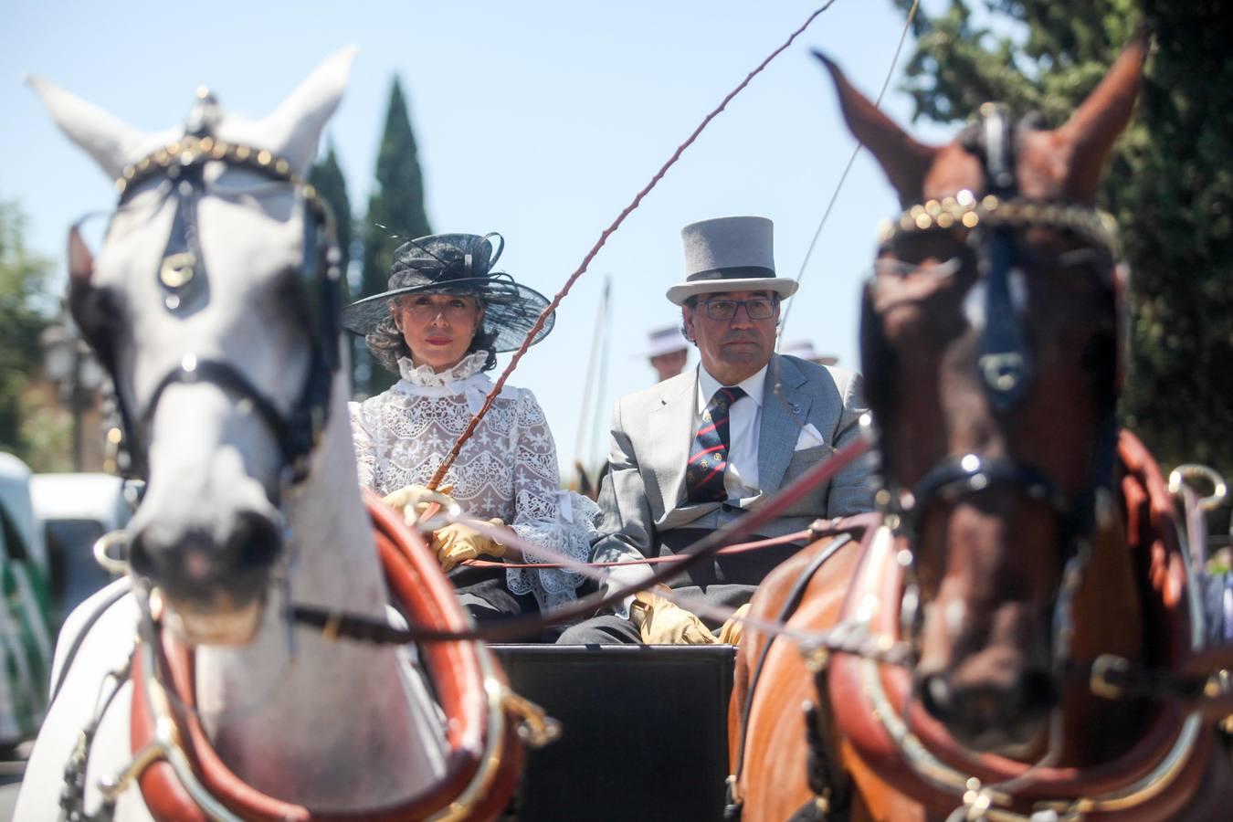 La Exhibición de Carruajes de Tradición, en imágenes