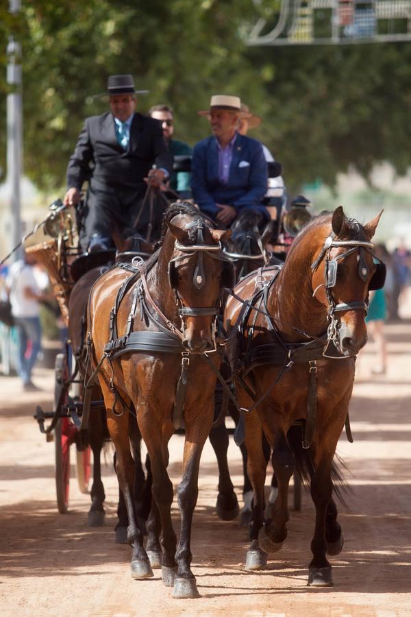 El miércoles en la Feria de Córdoba, en imágenes