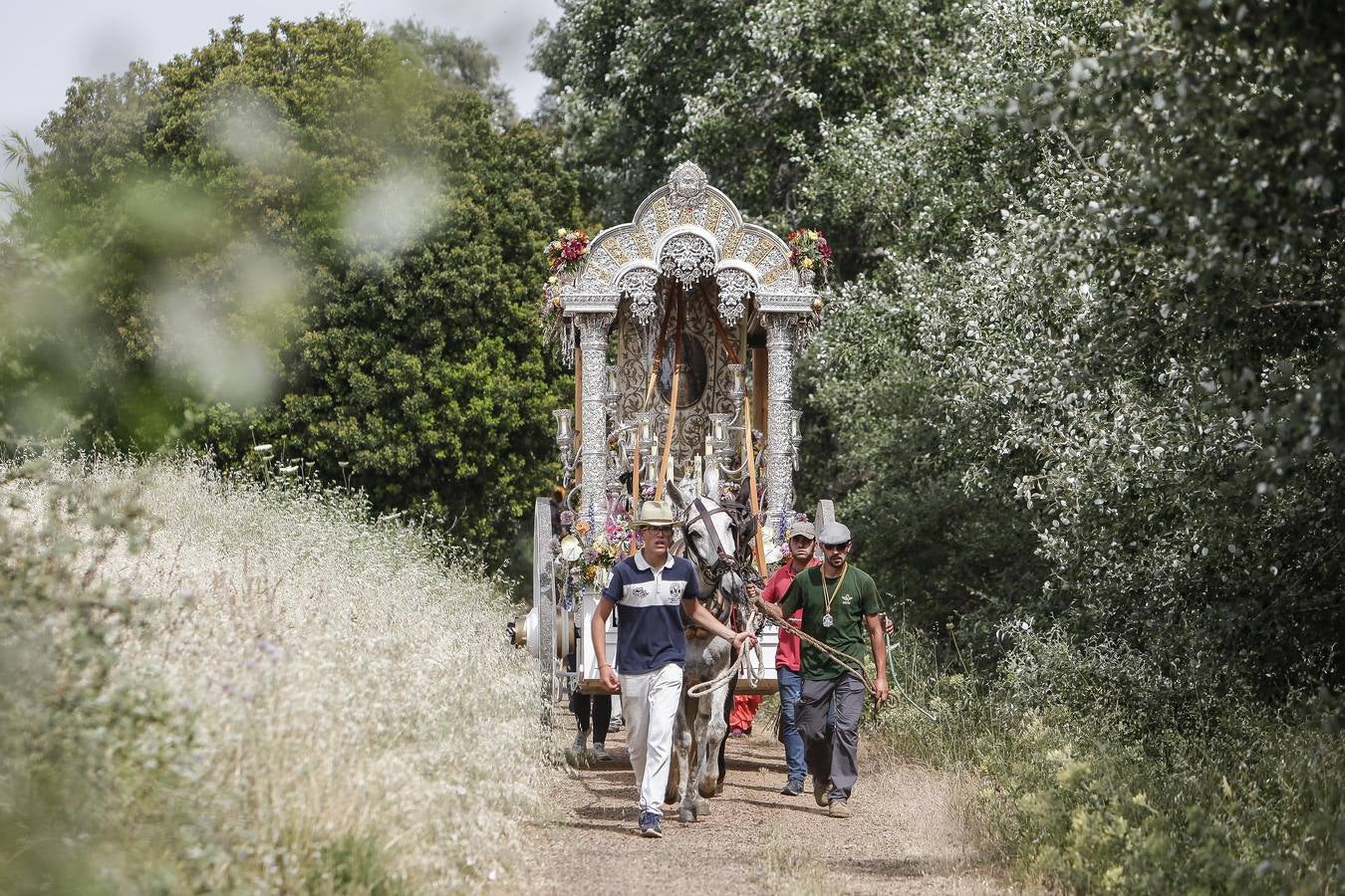 El camino al Rocío de la hermandad de Córdoba, en imágenes