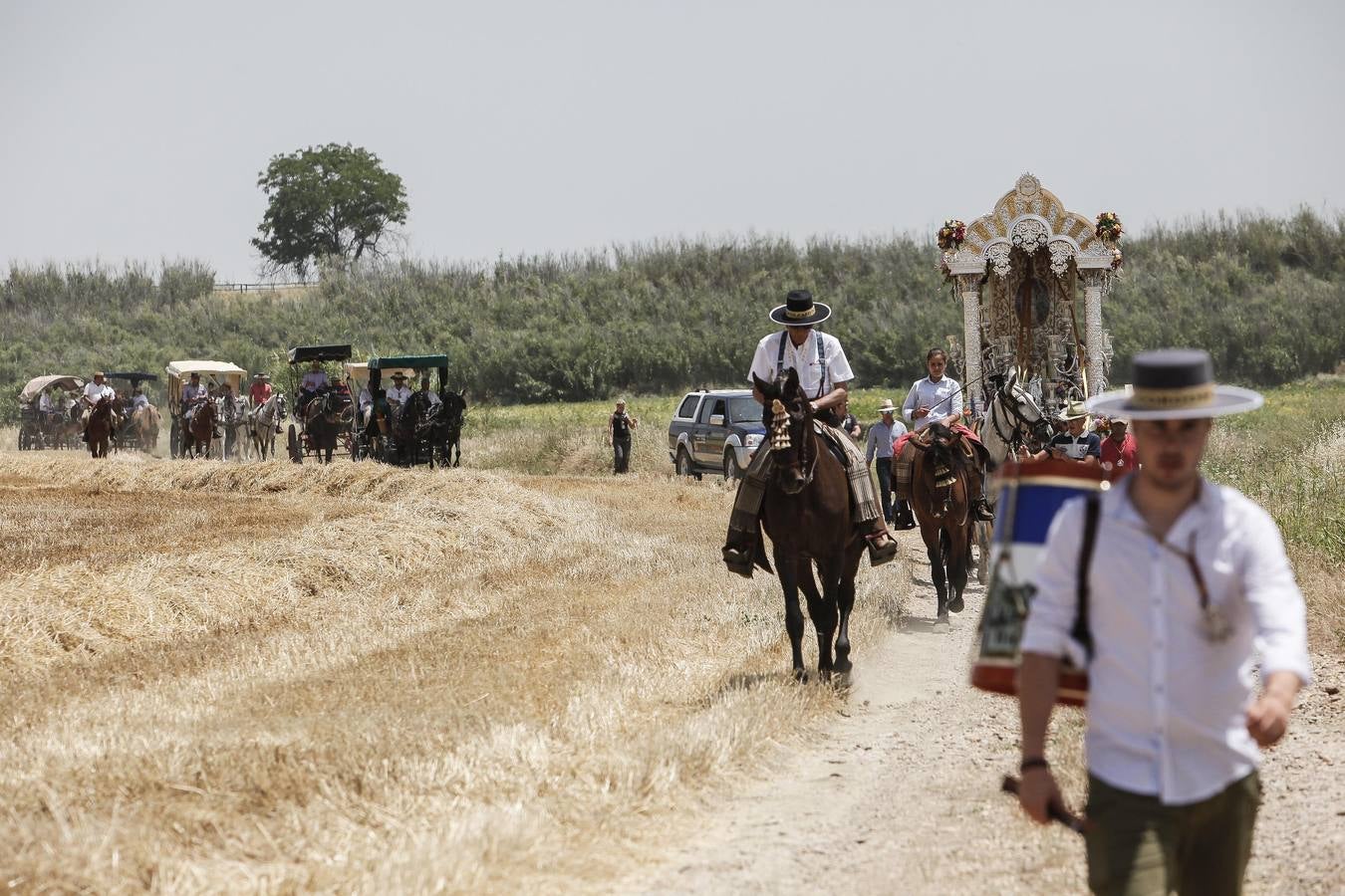 El camino al Rocío de la hermandad de Córdoba, en imágenes