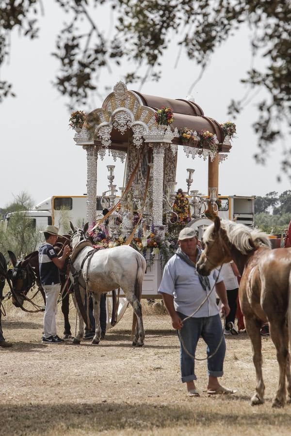 El camino al Rocío de la hermandad de Córdoba, en imágenes