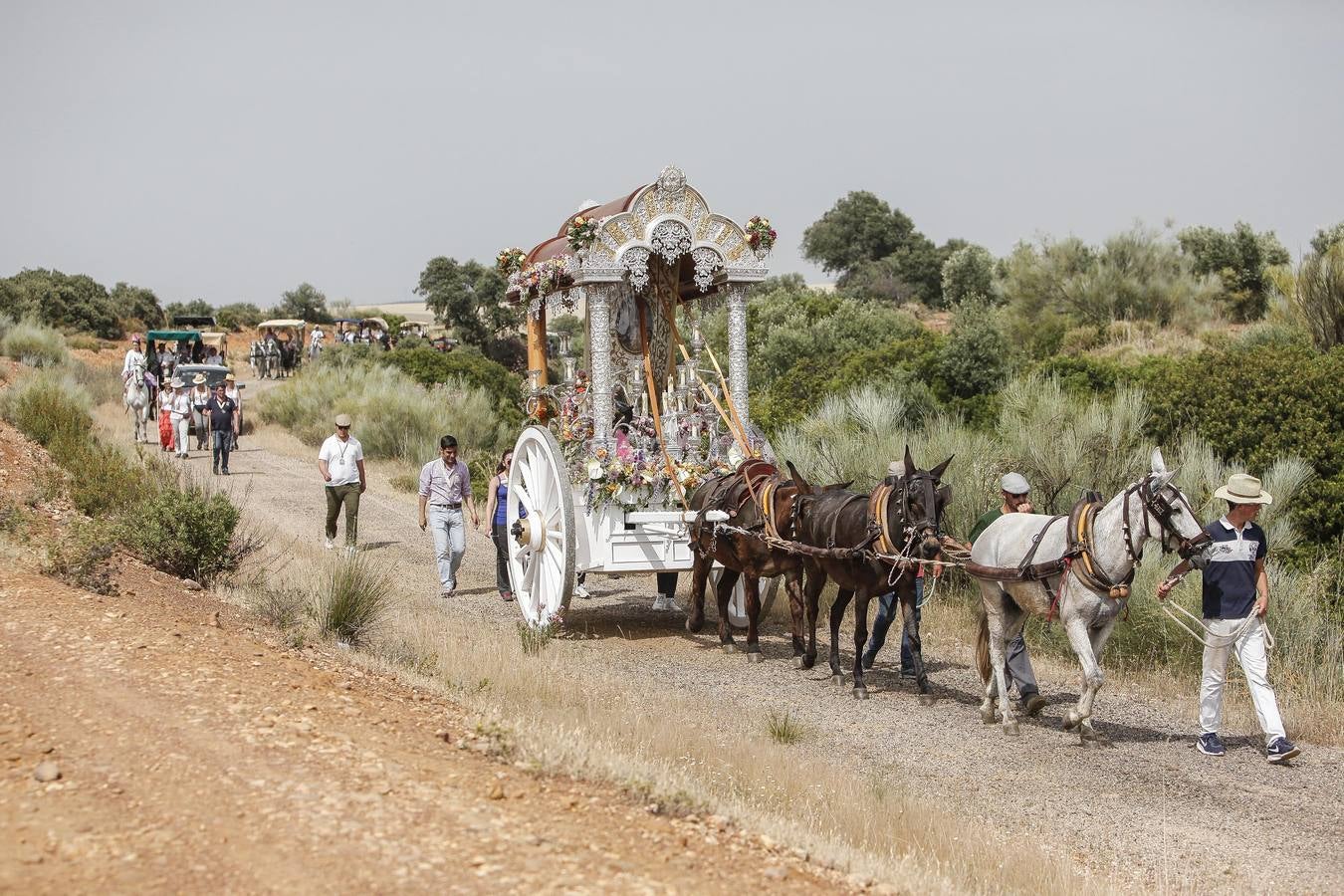 El camino al Rocío de la hermandad de Córdoba, en imágenes