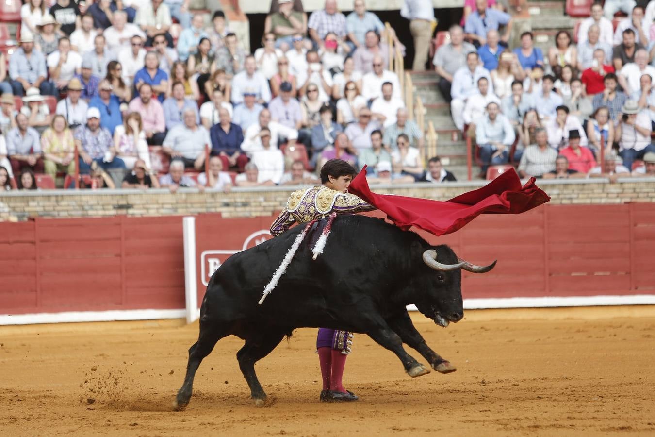 La corrida de Morante, Manzanares y Roca Rey, en imágenes