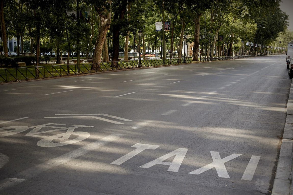 Aspecto que presentaba el madrileño Paseo del Prado sin taxis circulando a primera hora de la mañana de este martes. 